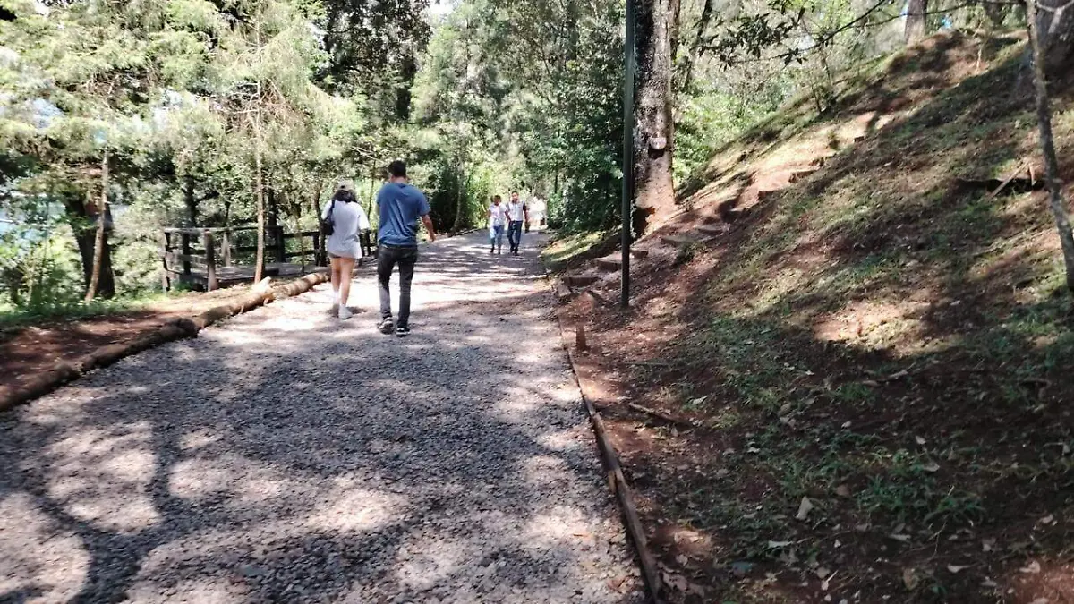 cerro del borrego-mayra (2)