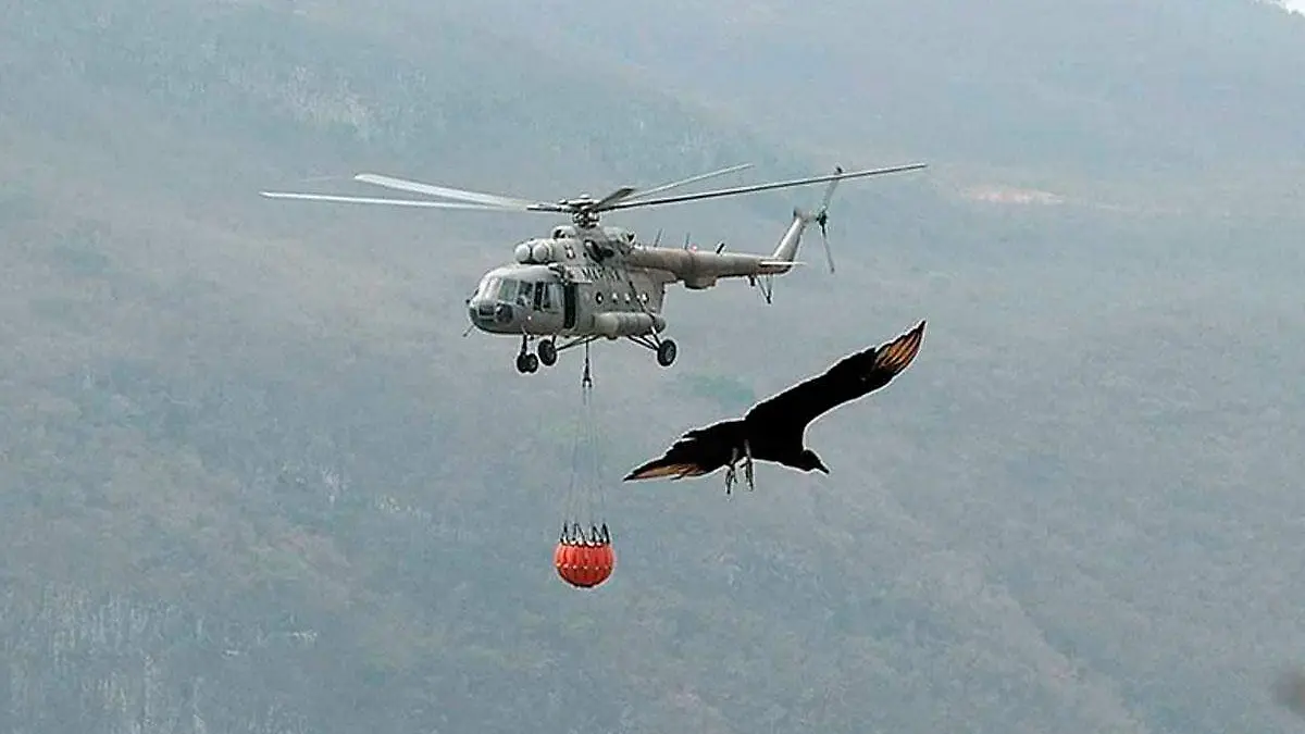 Funcionamiento-del-sistema-Bambi-Bucket-contra-incendios-forestales