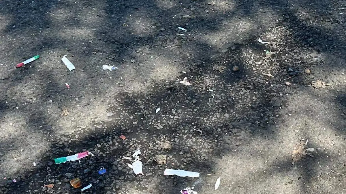 Basura de pirotecnia