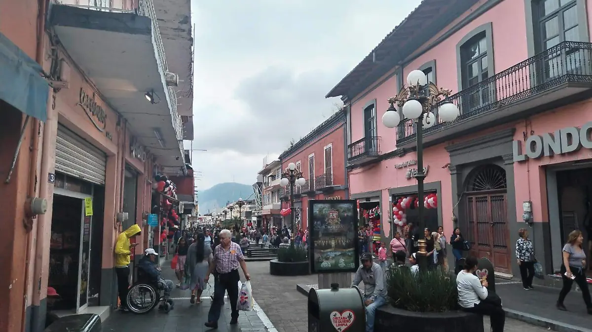 Durante el Buen Fin, Profeco instala módulo de quejas en Orizaba