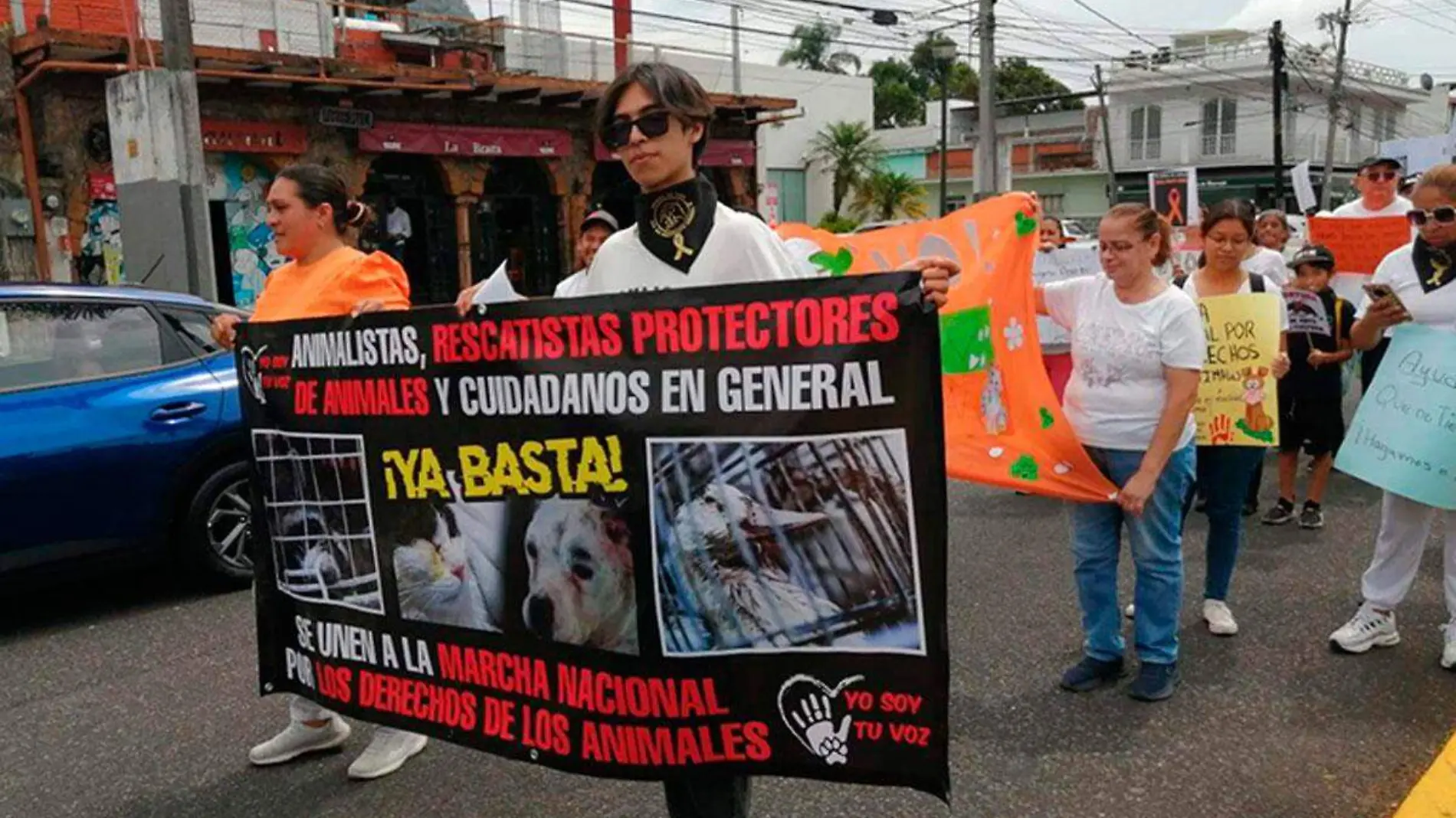 Marcha-por-el-maltrato-animal-en-Orizaba