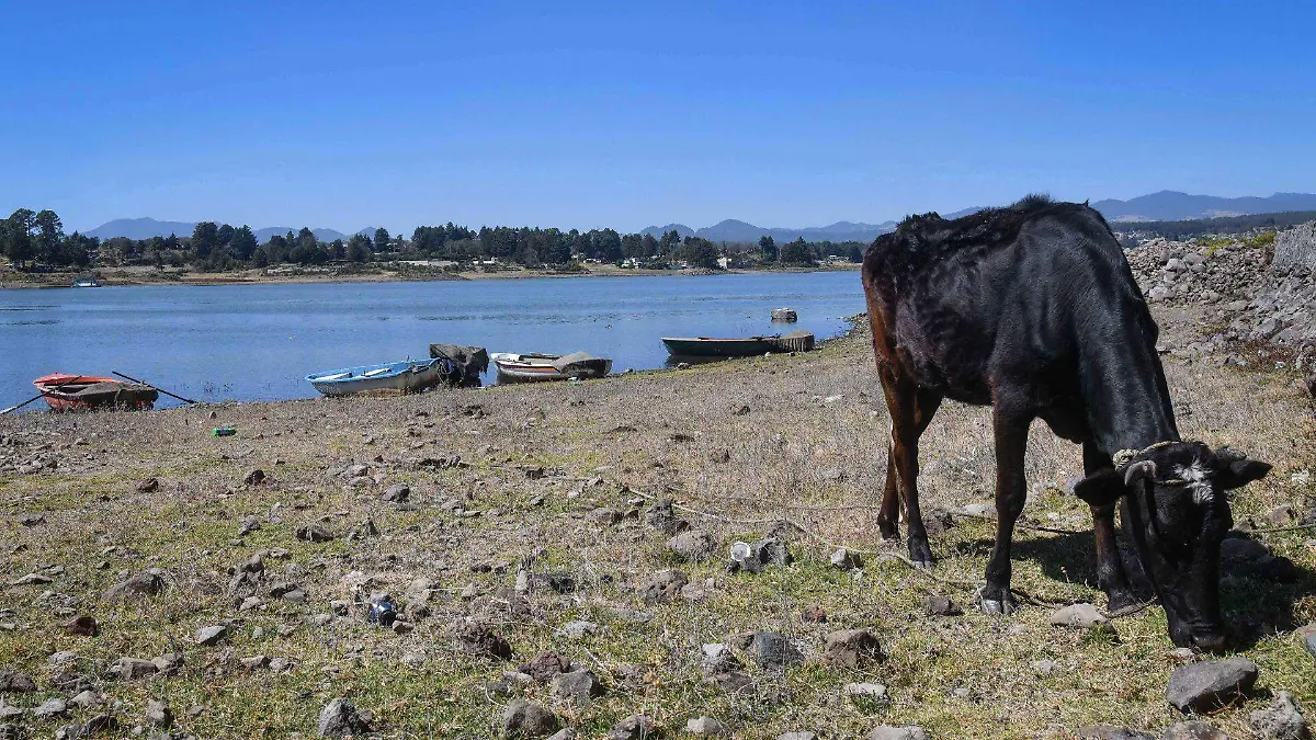 966694_Niveles Agua Presas Sistema Cutzamala-10_web