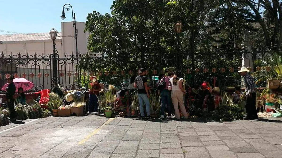 Venta-de-palma-para-el-Domingo-de-Ramos-en-Orizaba