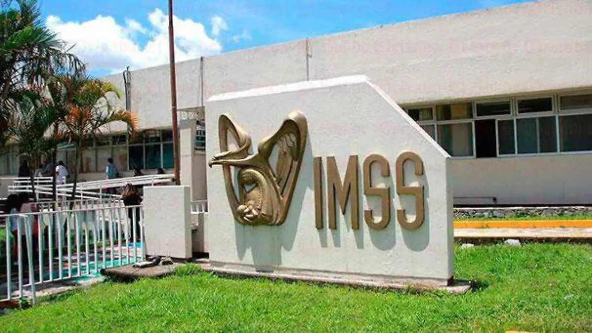 IMSS-Ori1