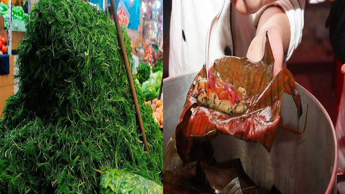 Los romeritos son un quelite que se consume generalmente en diciembre pero se puede preparar en diferentes platillos e inclusive en tamales