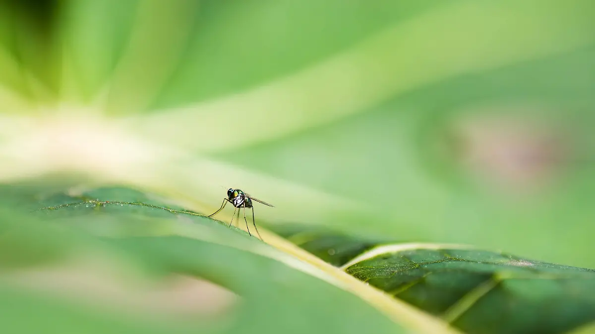 pexels-pragyan-bezbaruah-14551204