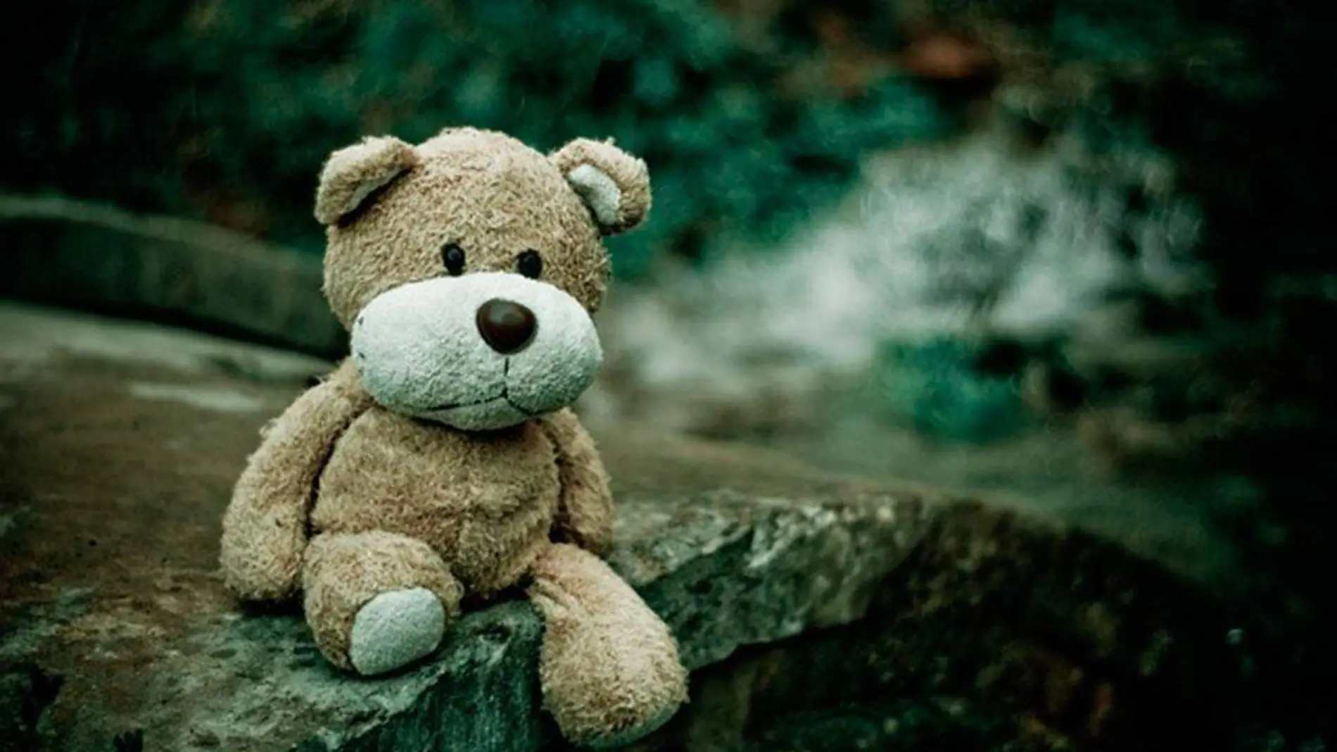 teddy-bear-1835598_640