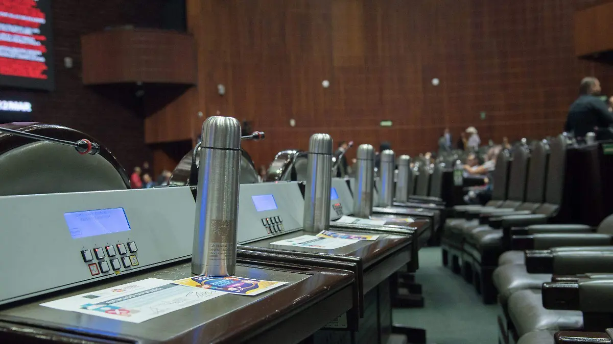 748695_Sesión Ordinaria Diputados-1_web