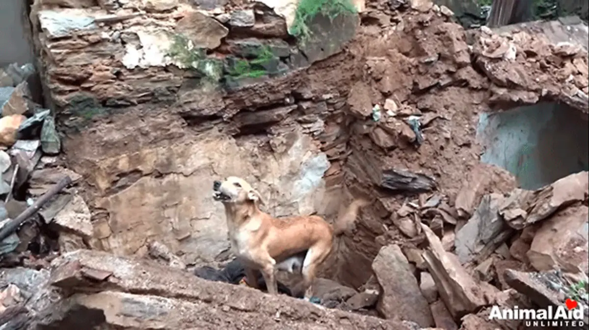 Foto-captura-de-pantalla