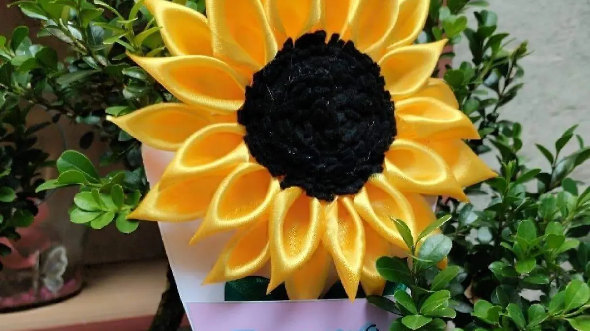 ¿Sabes que son las flores eternas? Te contamos