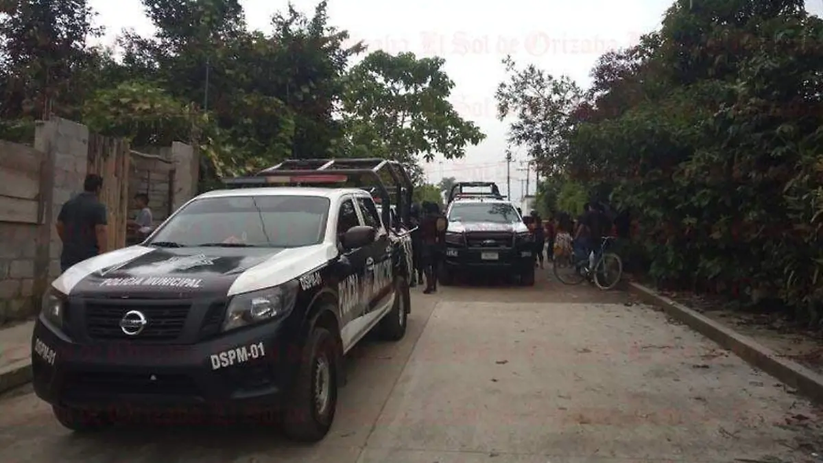 Lagos policiaca