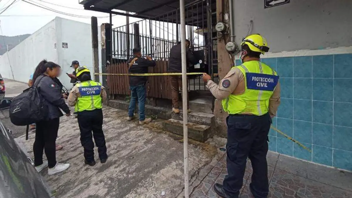 El Pony2
