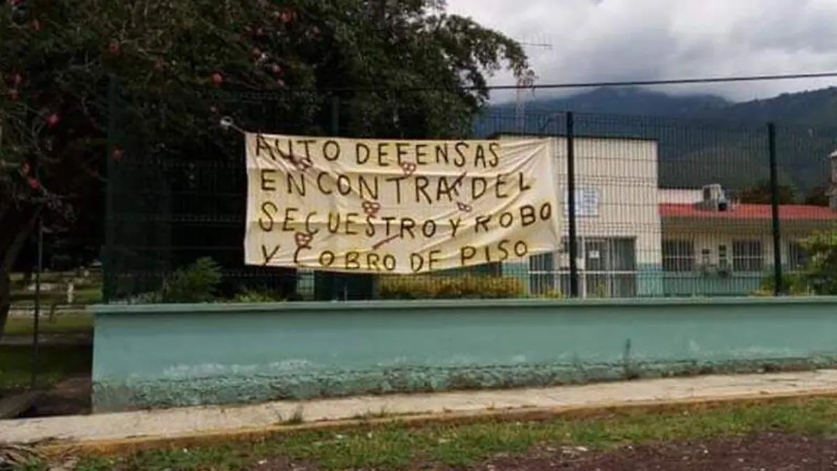 autodefensas2