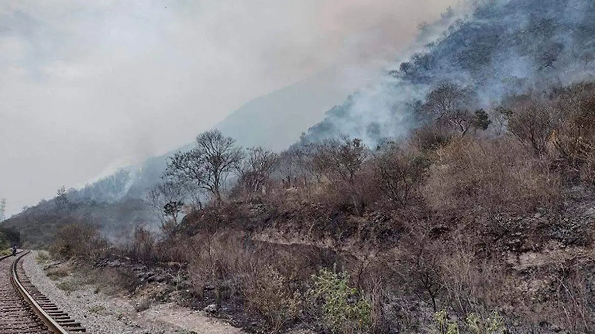 Incendio-en-el-rincon-de-las-doncellas-de-Ciudad-Mendoza