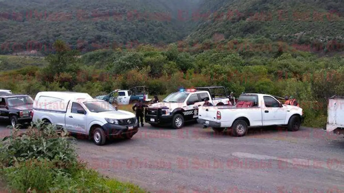 asesinadori
