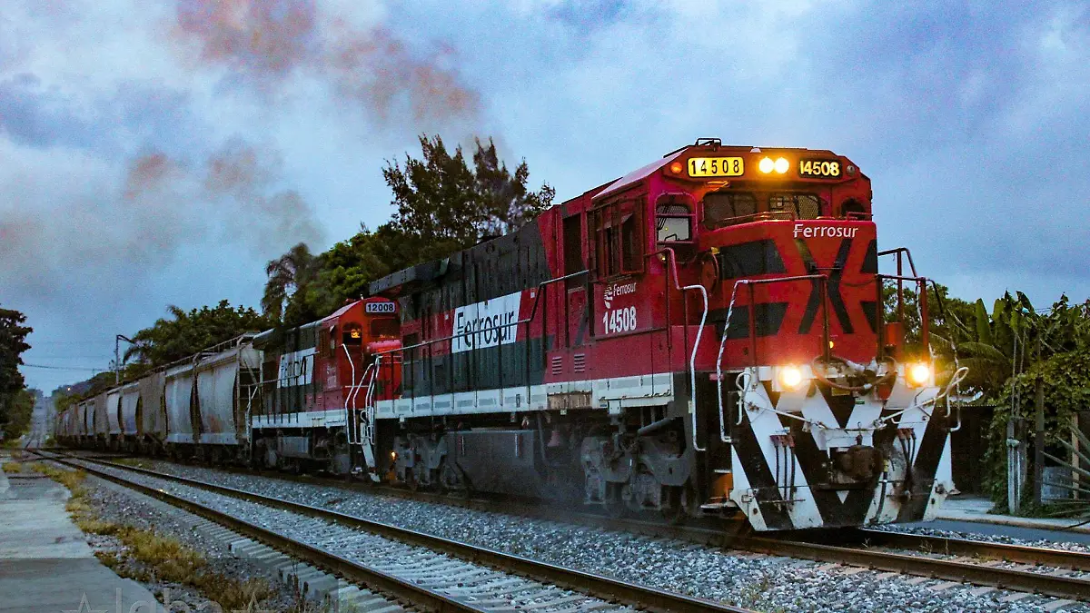Cazatrenes de México Región Centro