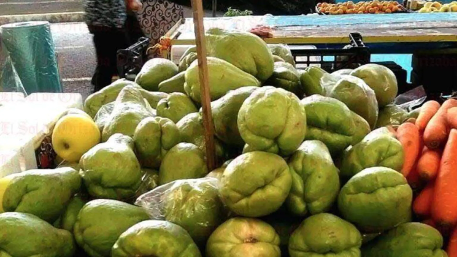 Chayote 