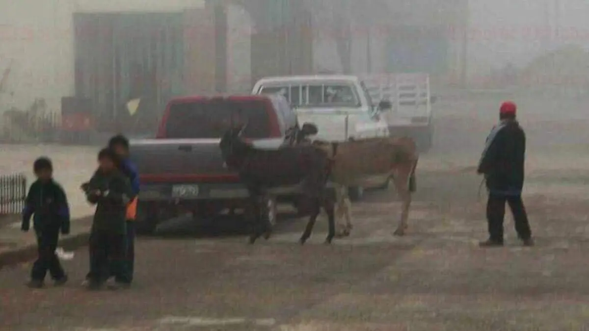 frio2