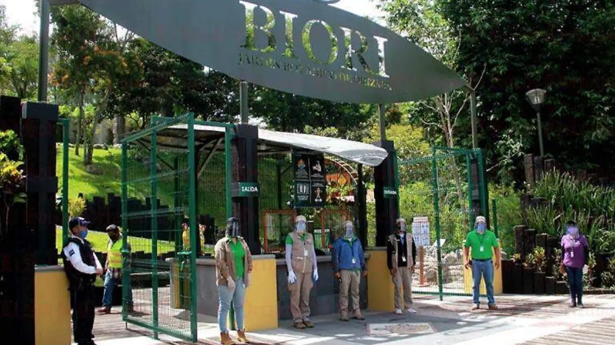 biori7