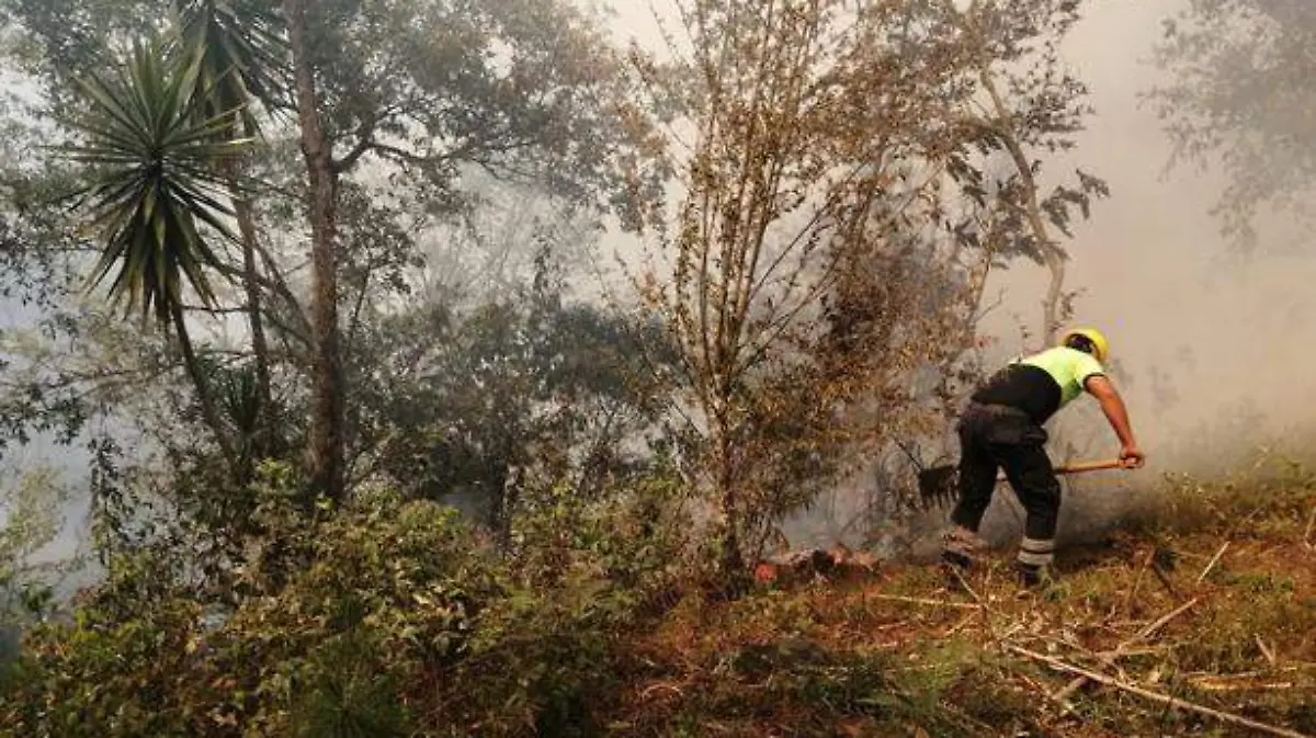 incendiomaltrata3
