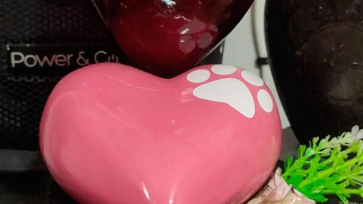 Paulette Rodríguez dedicará parte de su altar a Chuleta, una perrita beagle que murió el 12 de septiembre