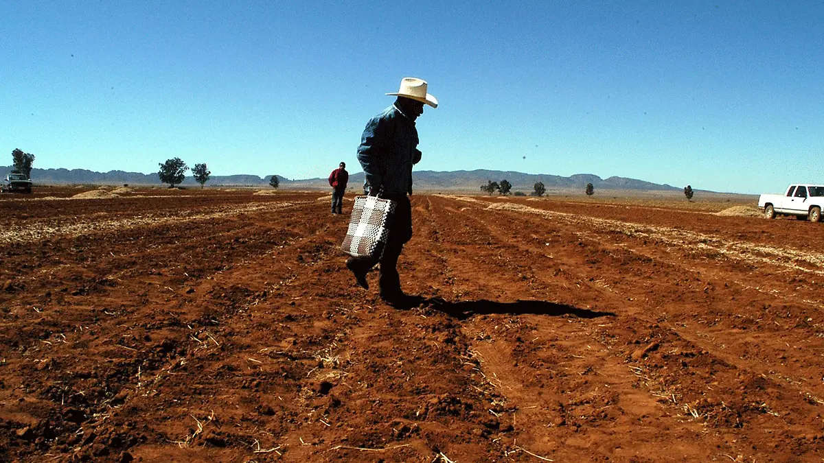 Estudio-de-tierra