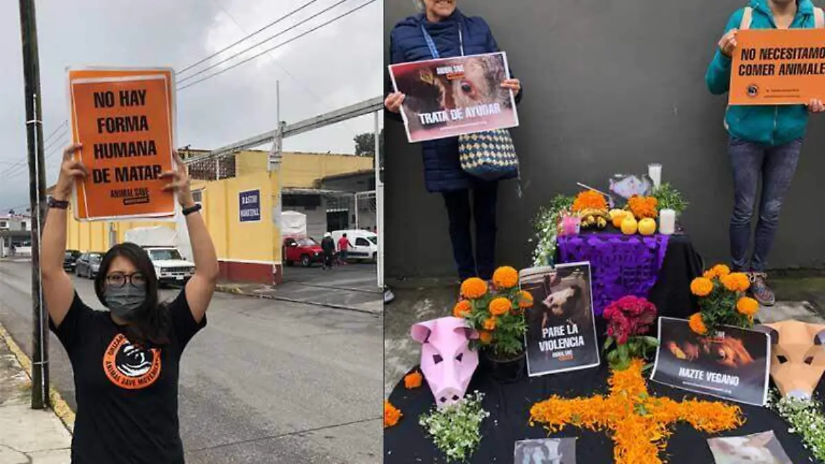 Animalistas