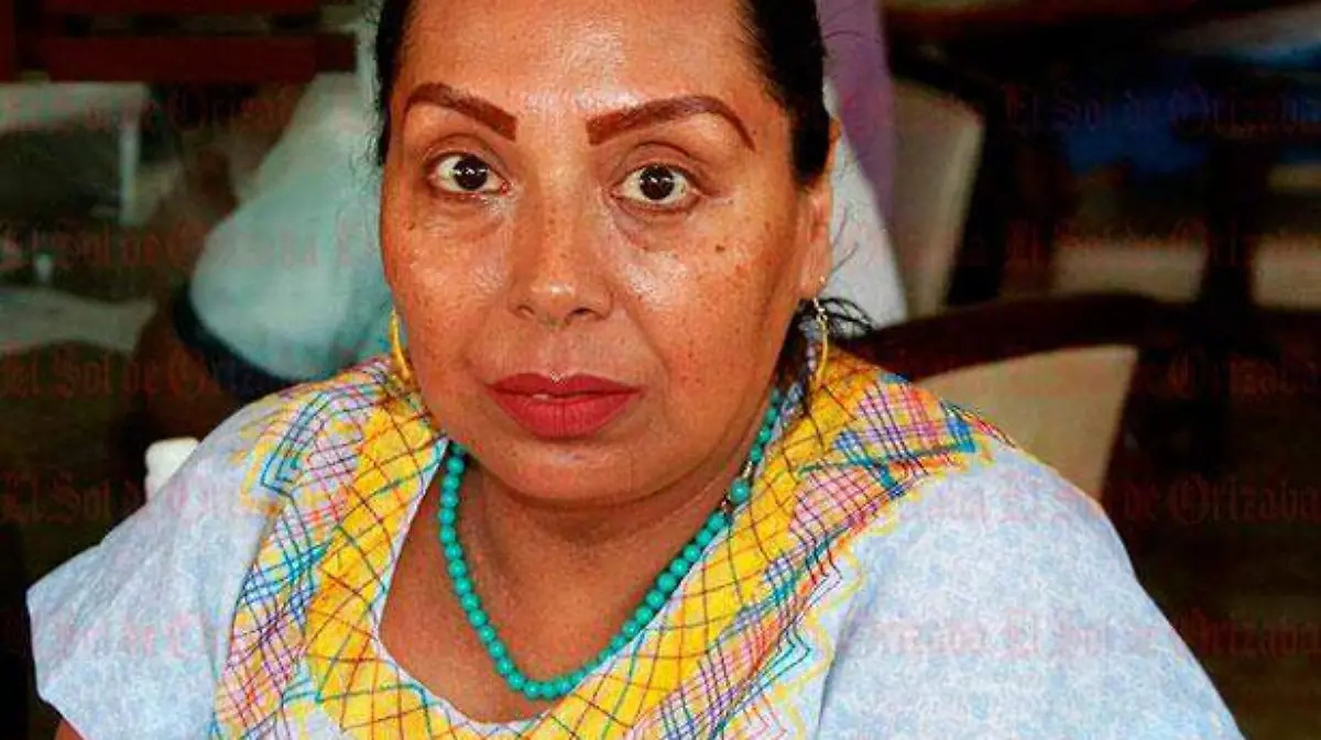 Luz-María-Reyes-Huerta,-abogada-del-Colectivo-Feminista-Cihuatlahtolli