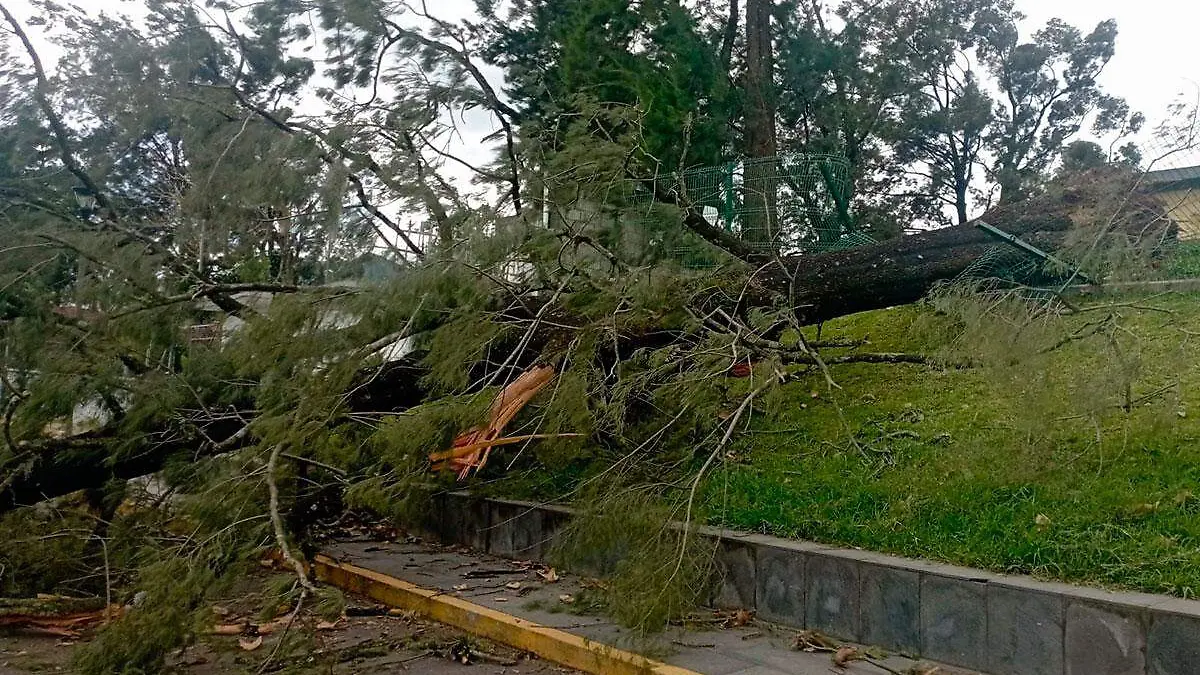 La surada registrada la mañana de este miércoles 11 de octubre dejó rachas de viento alcanzaron hasta 65 kilómetros por hora 