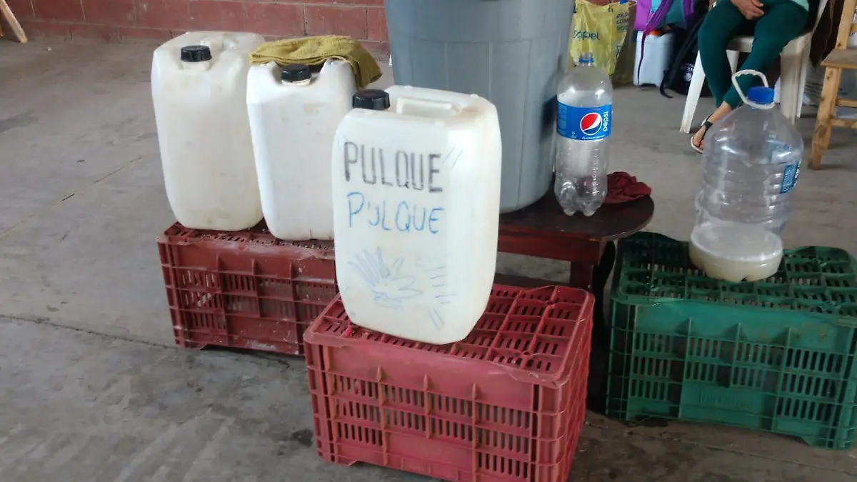Buscan rescatar el Pulque