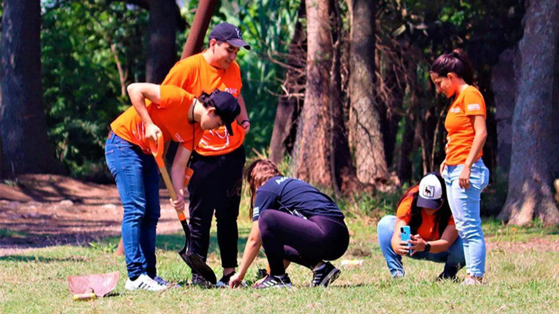 Reforestacion-Ciudad-Mendoza