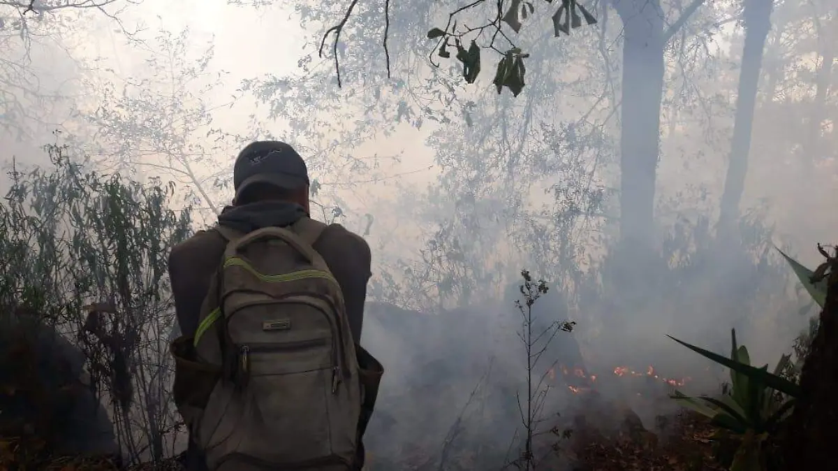 Combaten brigadistas nuevo incendio en Tequila