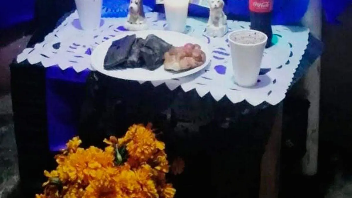  Sofía García, recuerda a Pelusa, Luna, nano y güero, así como a Dogui y a los gatos Ángela y ero, esto con un piso de su altar dedicado a ellos