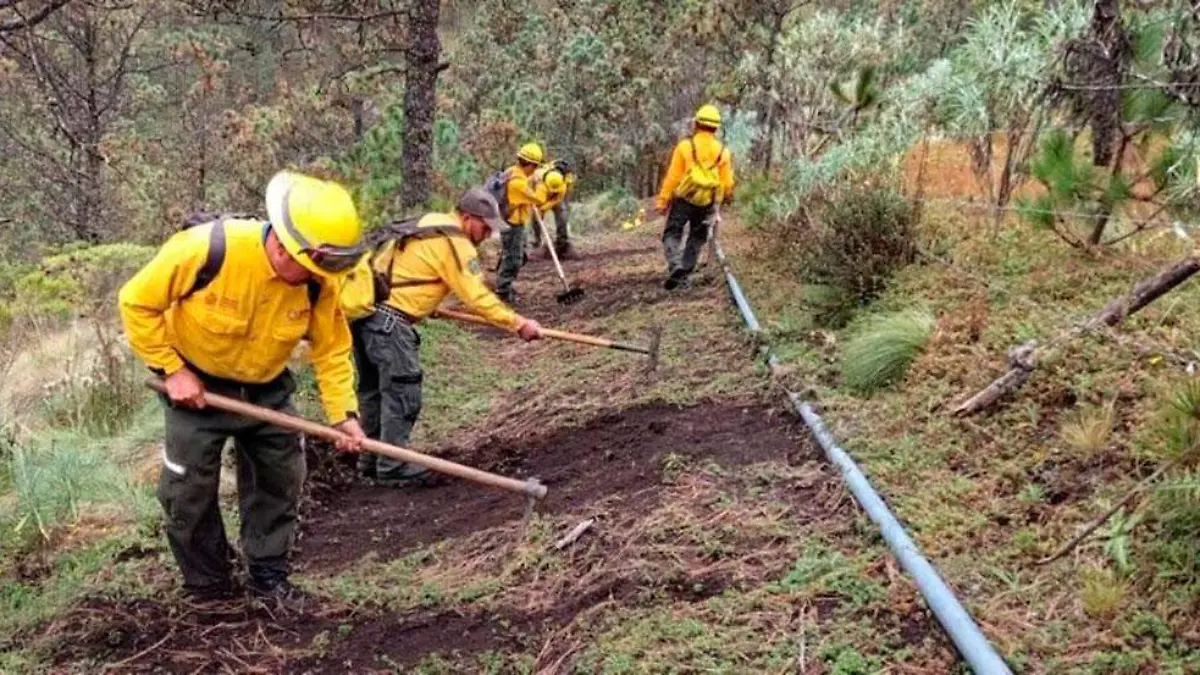 incendio-forestal1