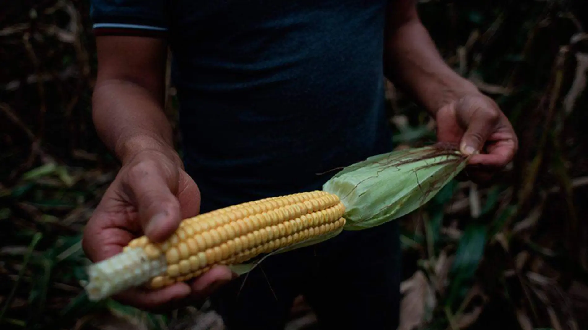 Desabasto-de-agua-afectara-a-cultivos-en-2023