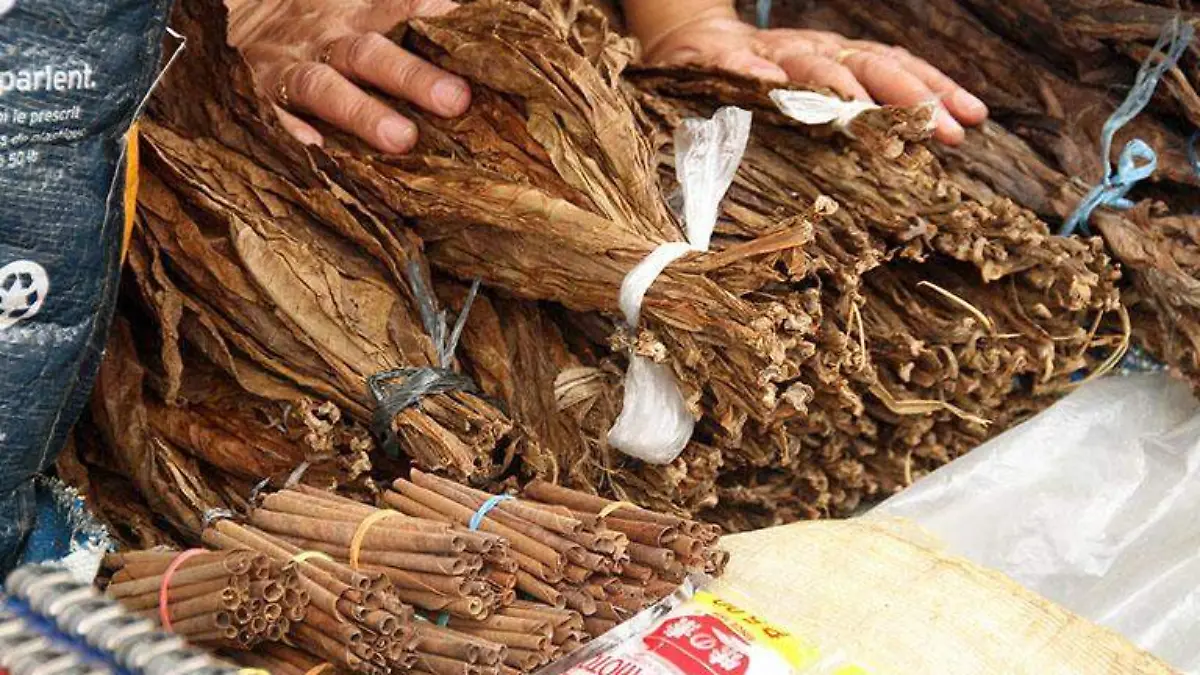 Hojas de tabaco secas