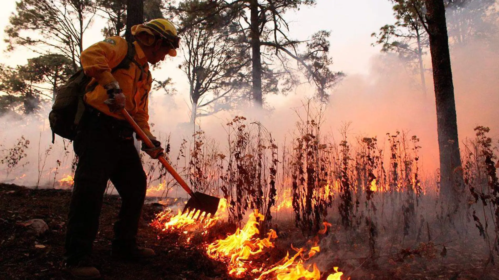 810433_Incendio-Llanos-de-Tepoxtepec-Chilpancingo-7_web