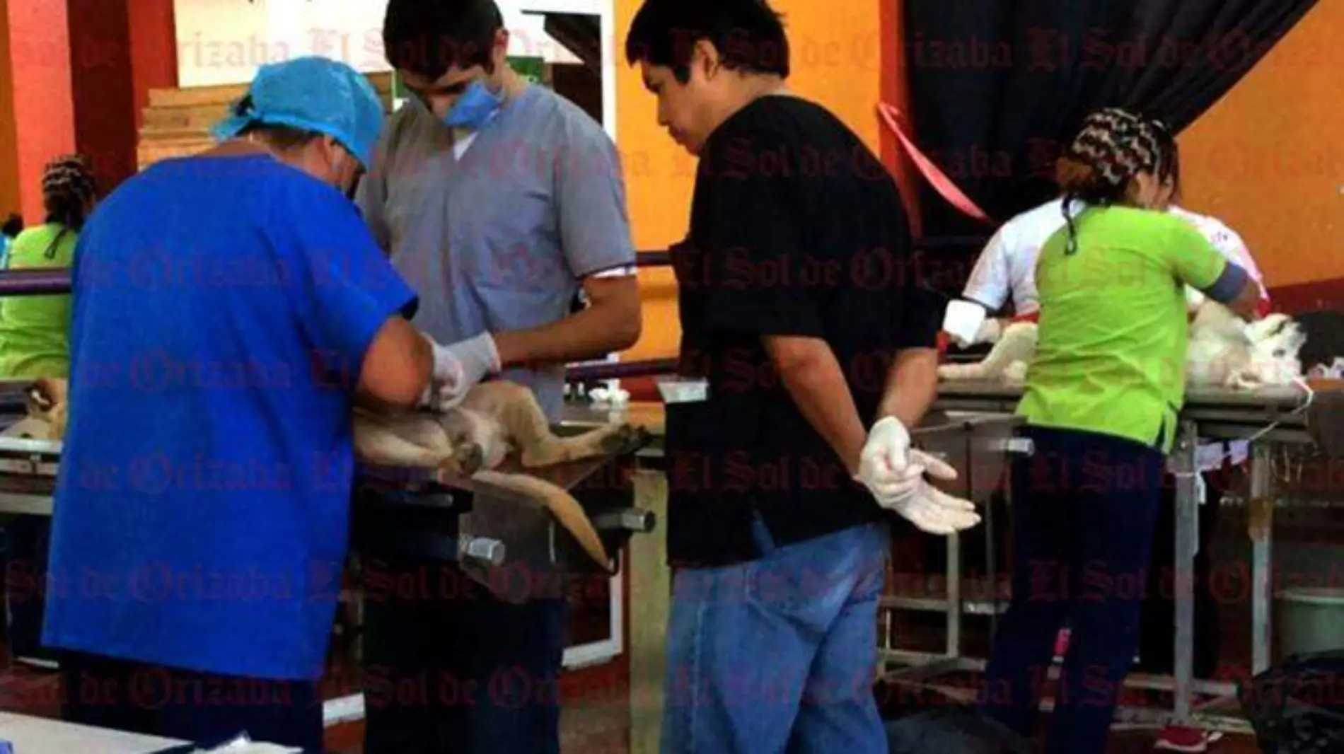 esterilización2