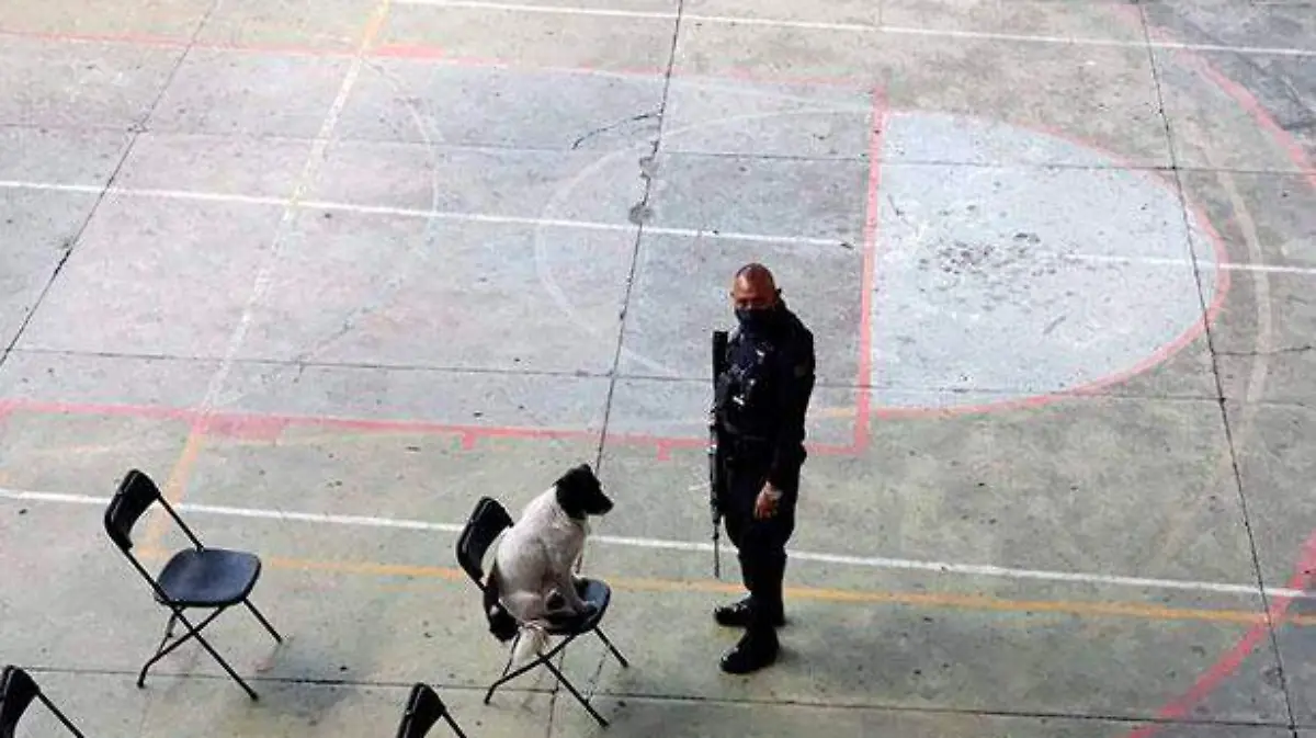 “Manchas” el perro guardián del Palacio de Nogales 2