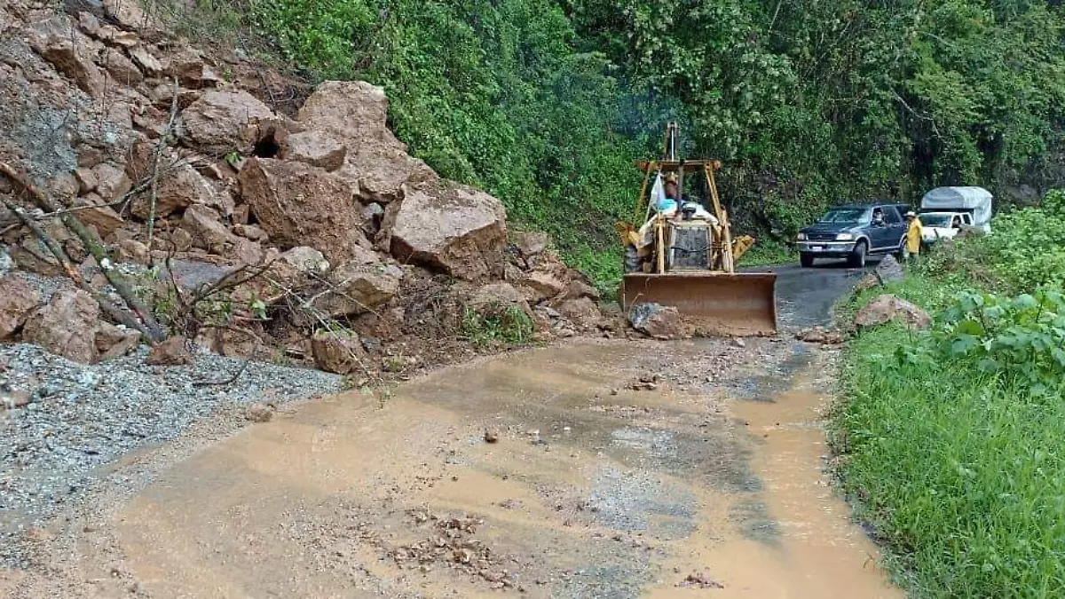 WhatsApp Image 2022-06-23 at 4.26.57 PM