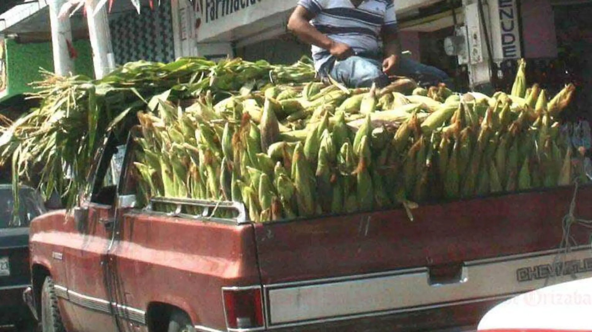 Productos del campo, el maiz