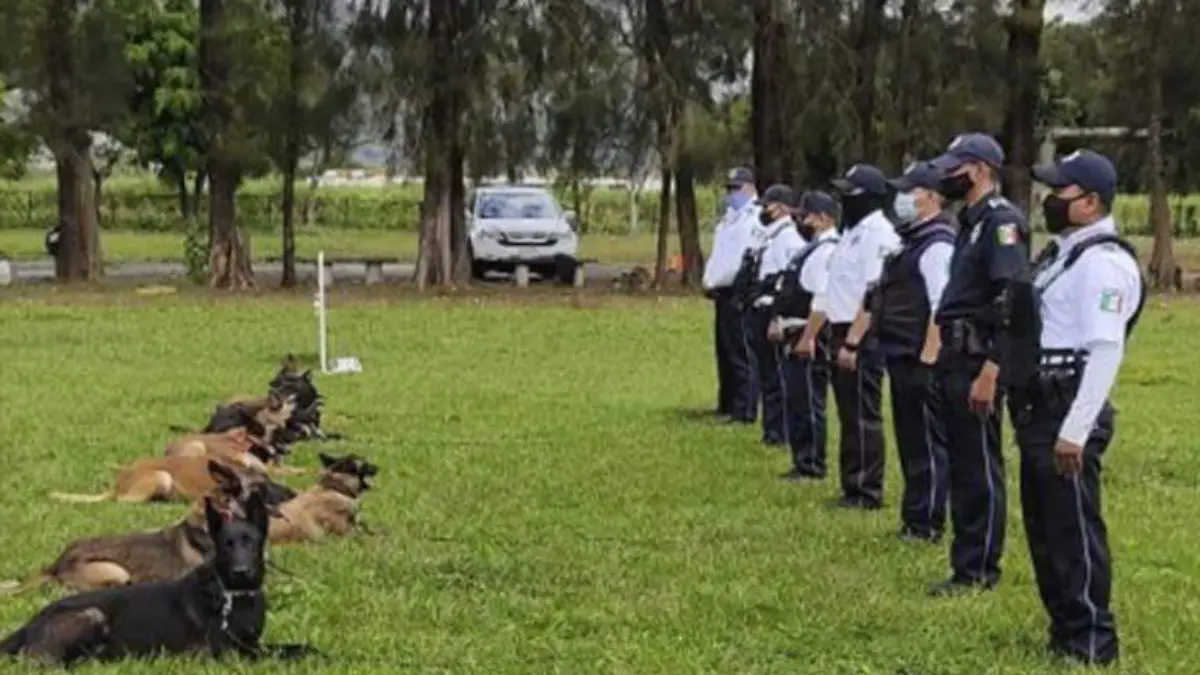 Perritos policías