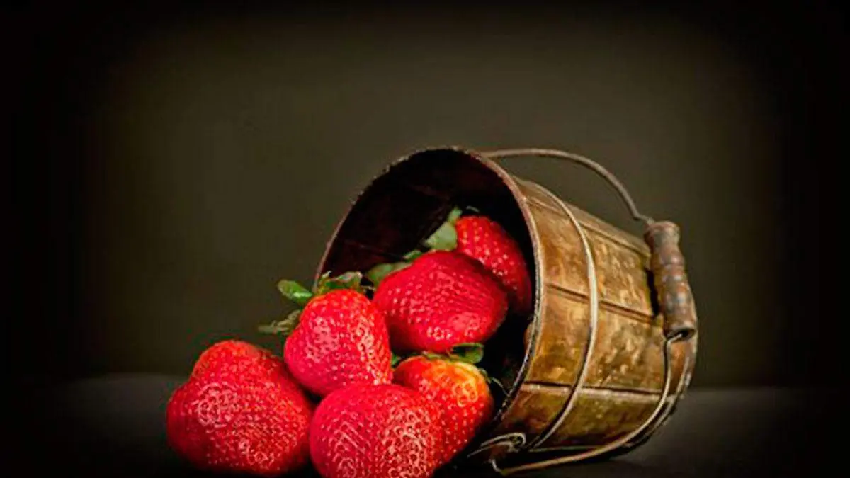 fresas-Pixabay