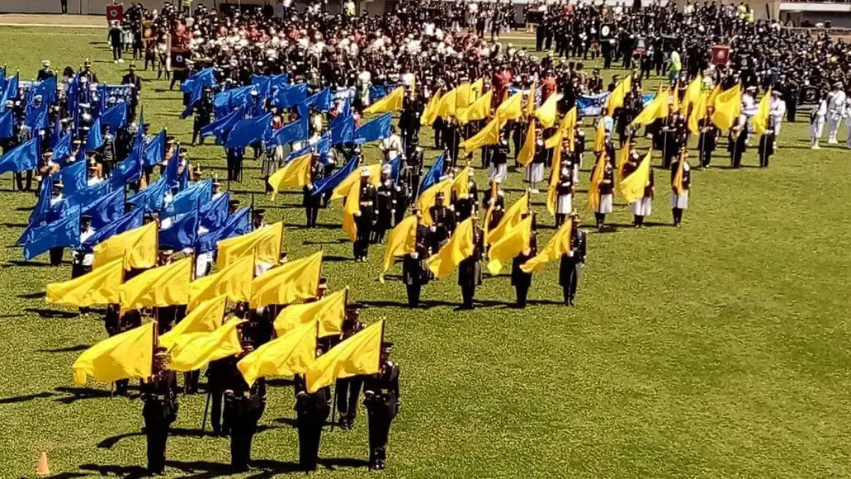 bandas6