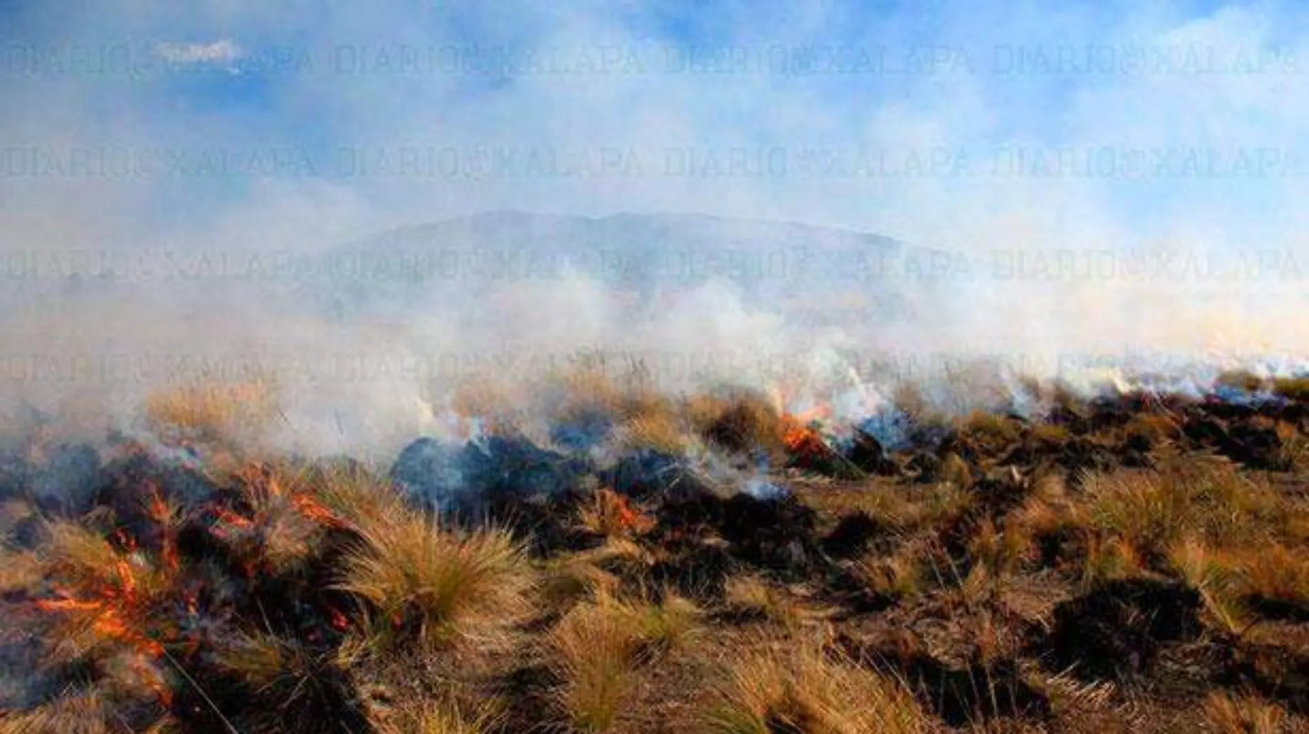 incendio-forestal