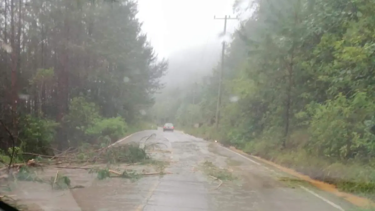 Alerta por lluvias