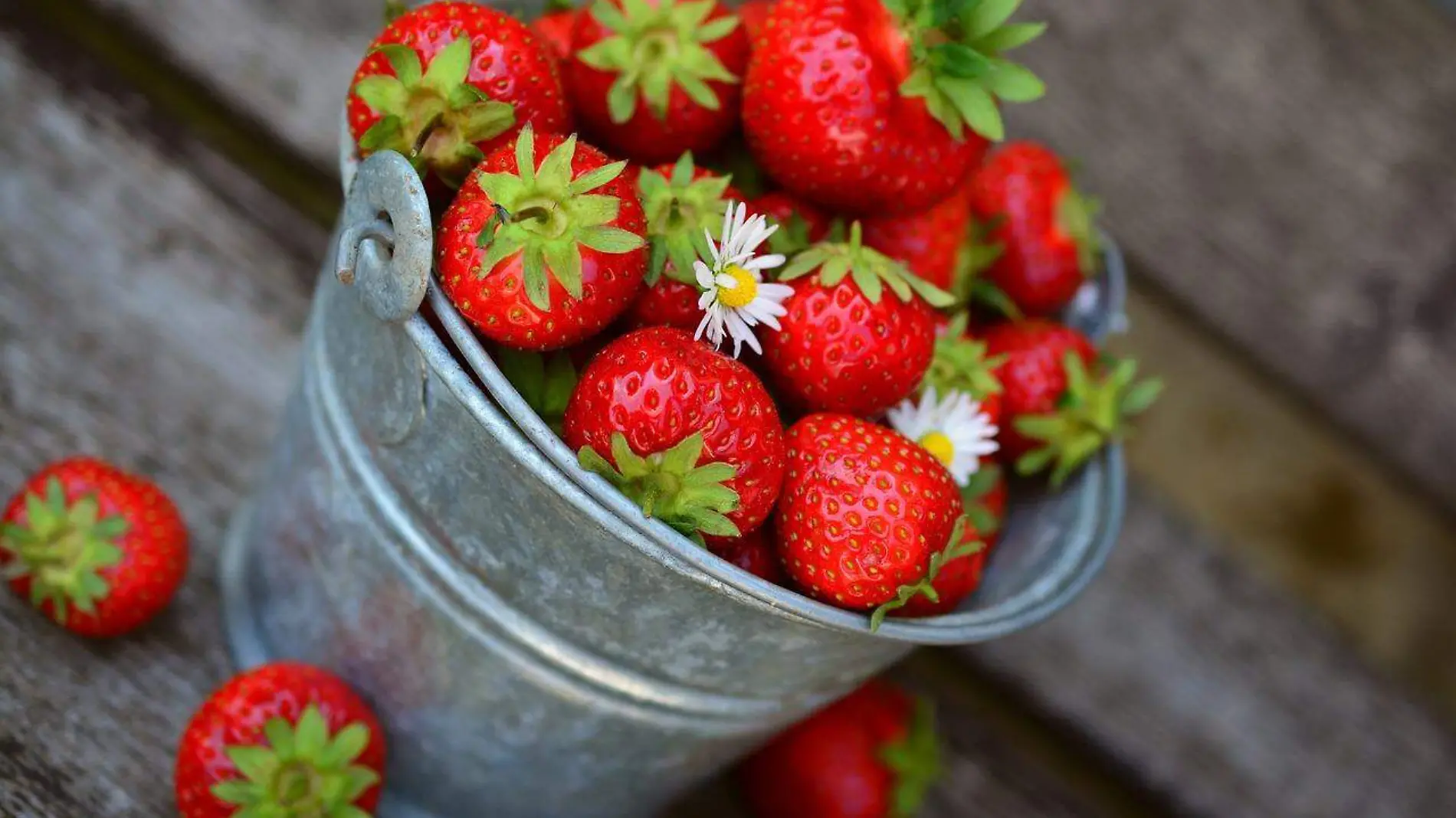 strawberries-g5629e938c_1280