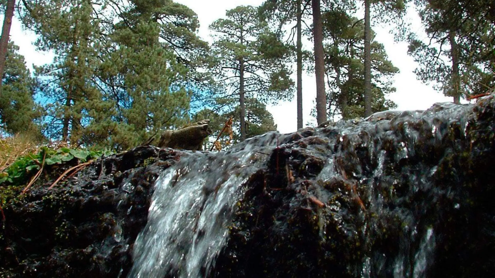 En el Pico de Orizaba nacen los ríos Blanco, Cotaxtla, Metlac y Jamapa y juntos abastecen a 31 municipios de la región de las Altas Montañas