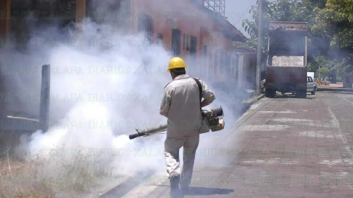 JRFumiga2
