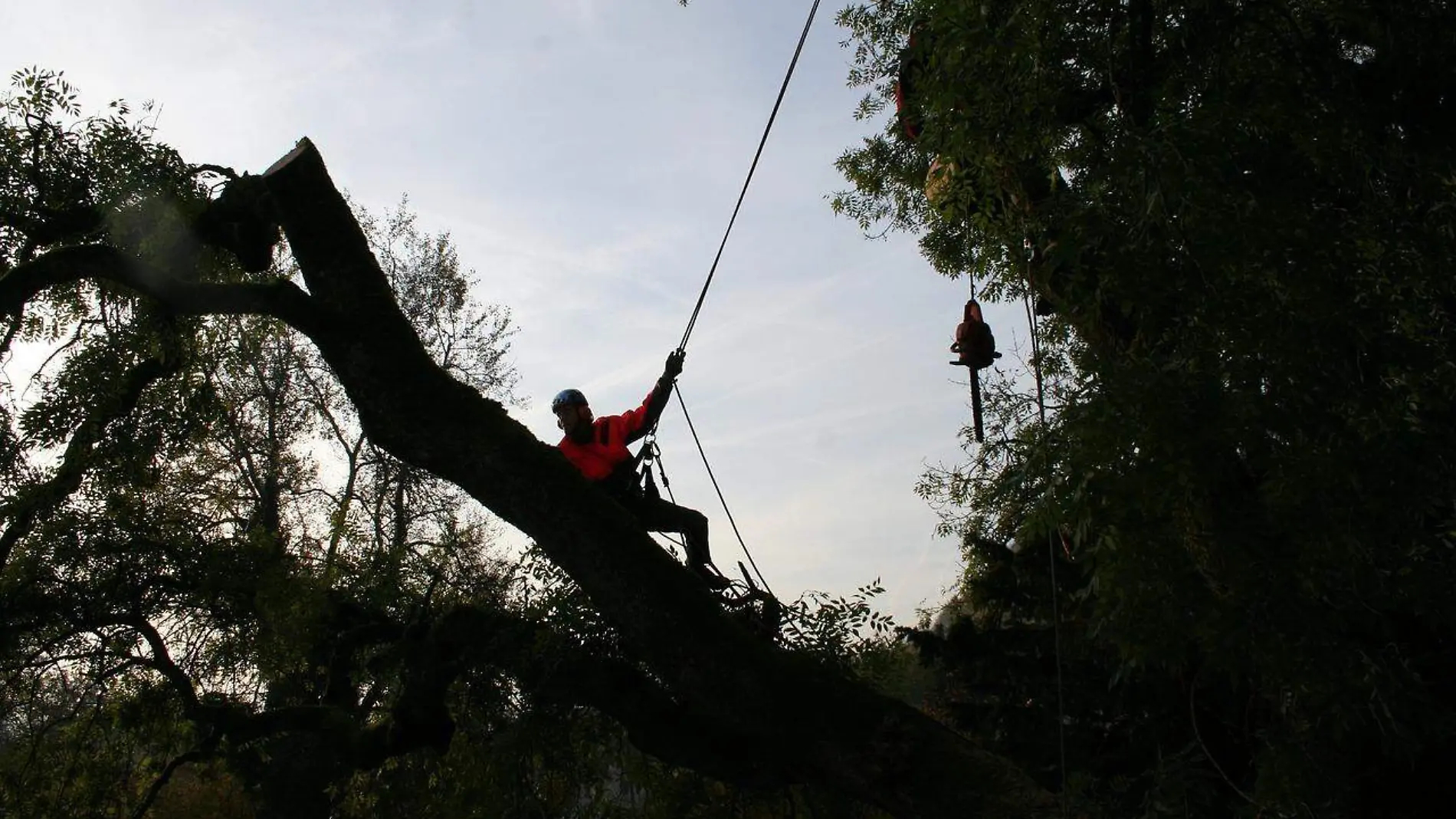 tree-climbers-4820109_1280